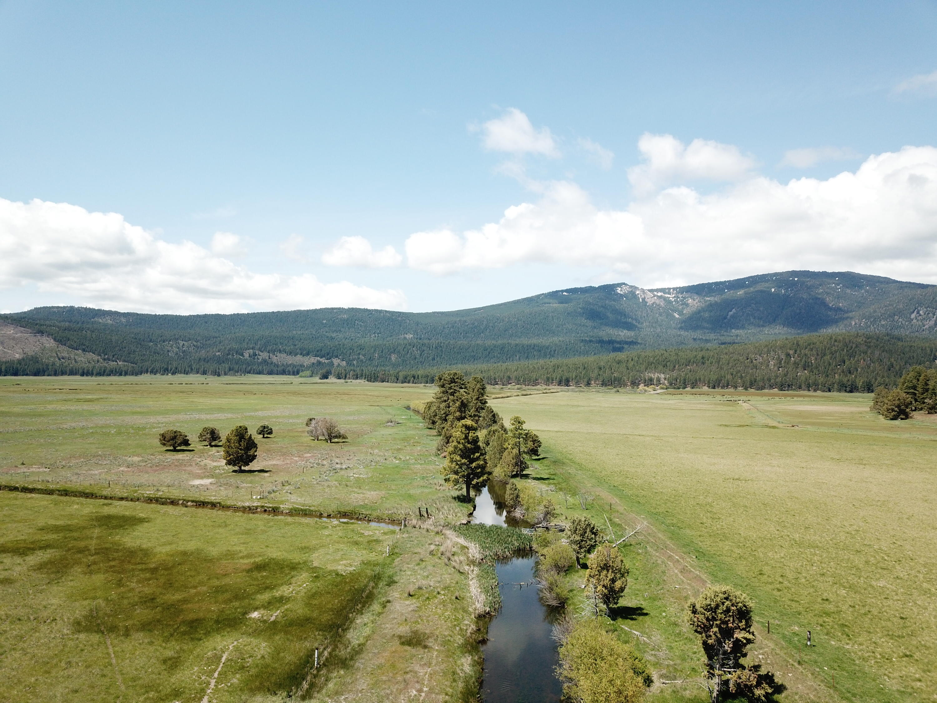 1827 West Ball Mountain Little Shasta Road Macdoel, CA 96058 - Photo 85 of 129 a view of a lake with a mountain