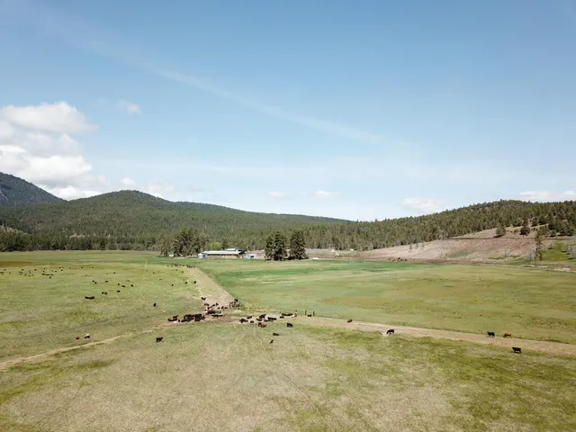 $8,500,000 | 1827 West Ball Mountain Little Shasta Road, Macdoel, CA 96058