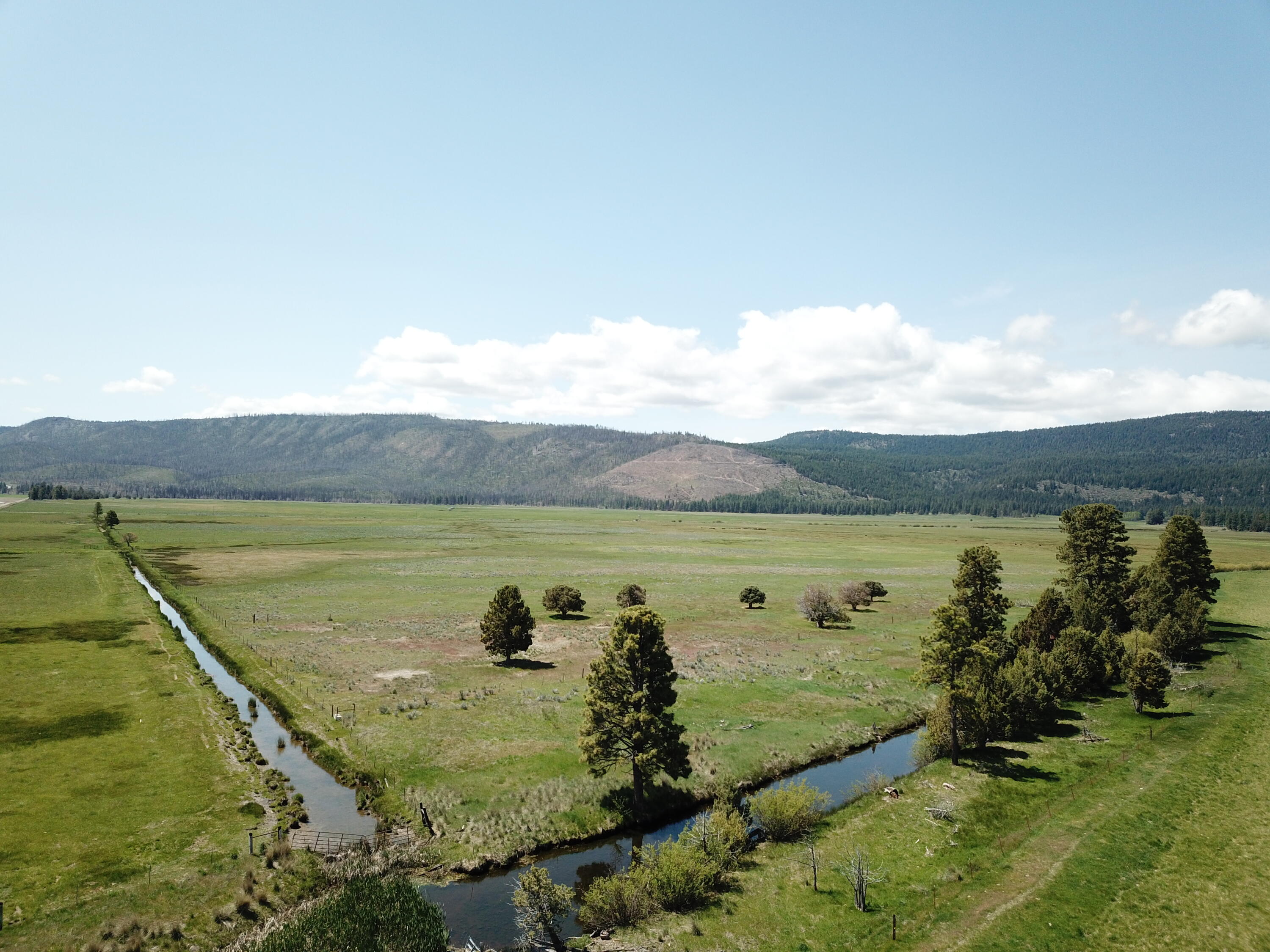 1827 West Ball Mountain Little Shasta Road Macdoel, CA 96058 - Photo 88 of 129 DJI_0129
