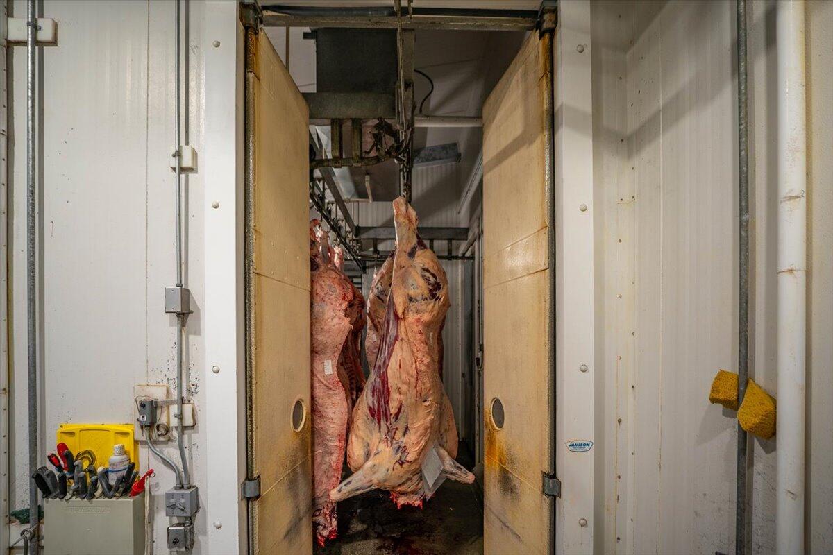 1827 West Ball Mountain Little Shasta Road Macdoel, CA 96058 - Photo 96 of 129 069-Prather Ranch - E-120