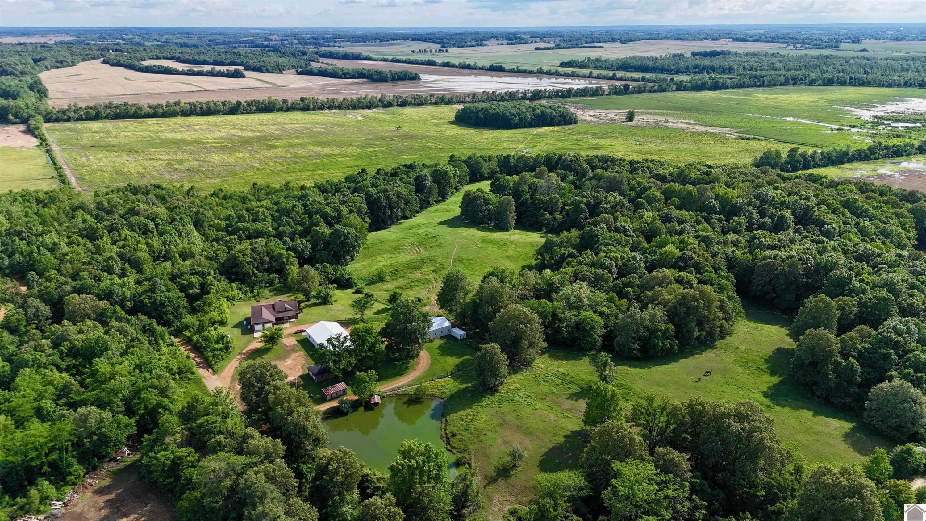 1300 Rocky Road Fancy Farm, KY 42039 - Photo 5 of 41 Photo 5