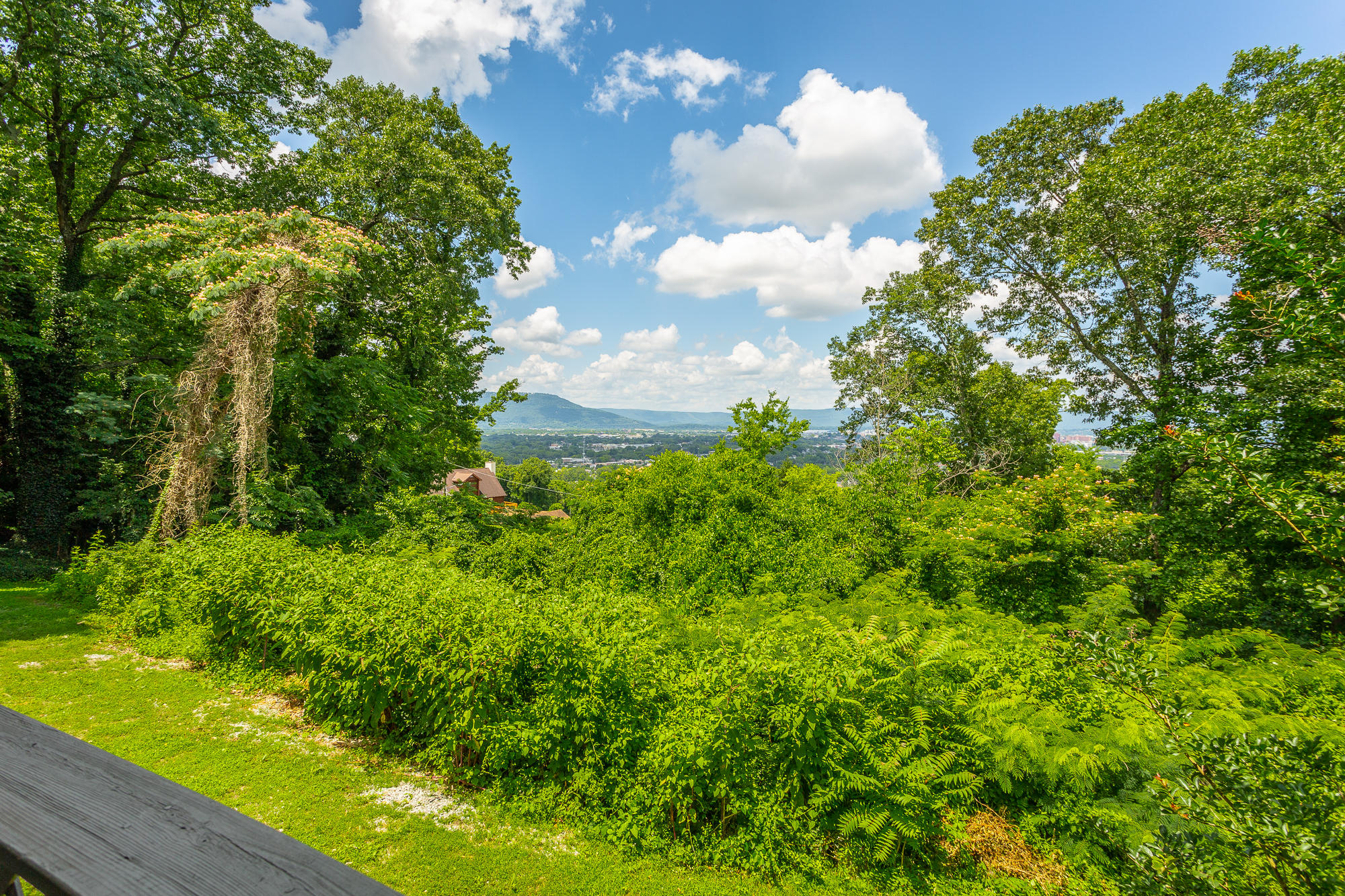 101 North Crest Road Chattanooga, TN 37404 - Photo 5 of 85 101 N Crest Rd. HD-73