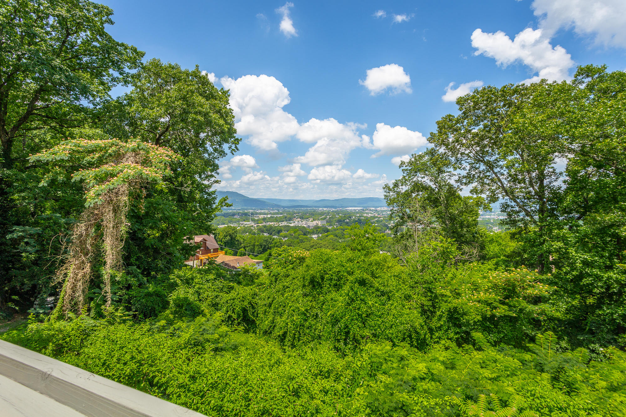 101 North Crest Road Chattanooga, TN 37404 - Photo 54 of 85 101 N Crest Rd. HD-55