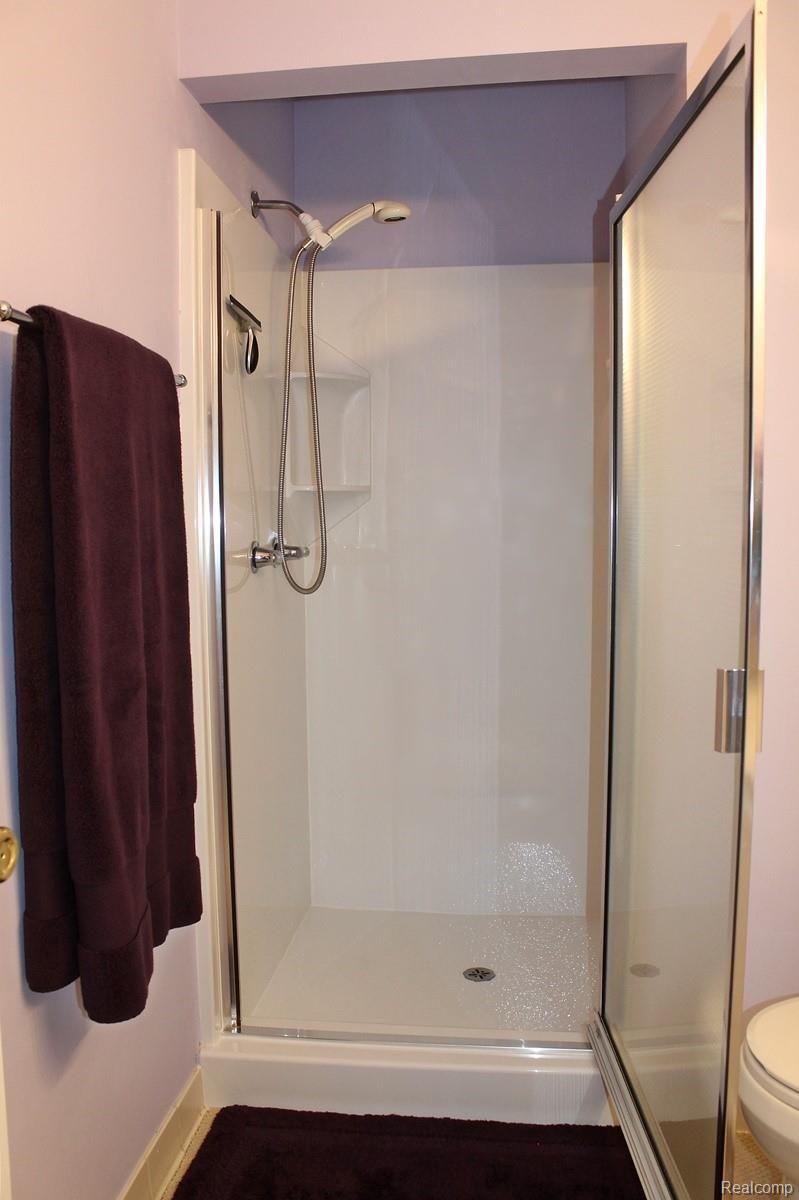 22317 Peach Tree Novi, MI 48375 - Photo 54 of 86 IMG_5880.JPG