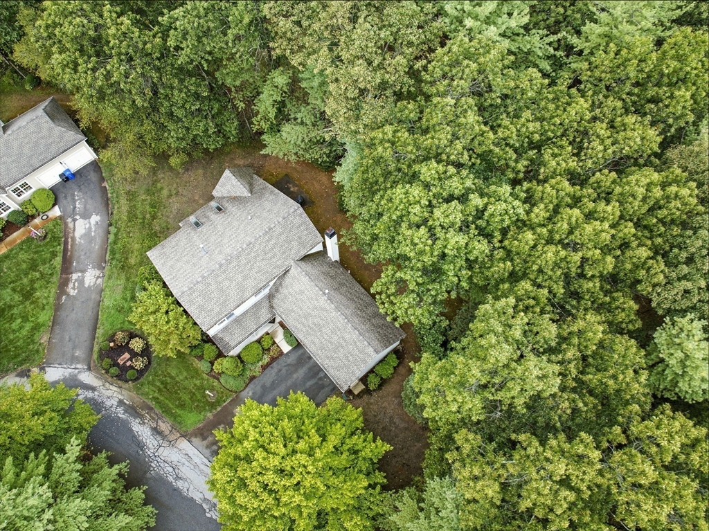 7 Alder Way, Unit 7 Bedford, MA 01730 - Photo 23 of 30 an aerial view of a house with a yard and large trees