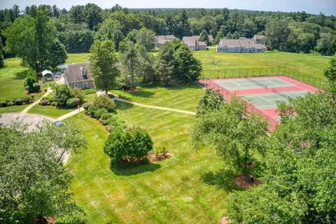 a view of a yard with plants and large trees