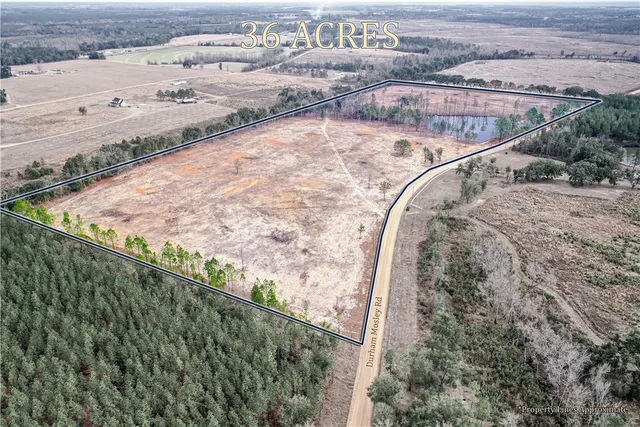 $368,600 | 0 Durham Mosley Road, Uvalda, GA 30473