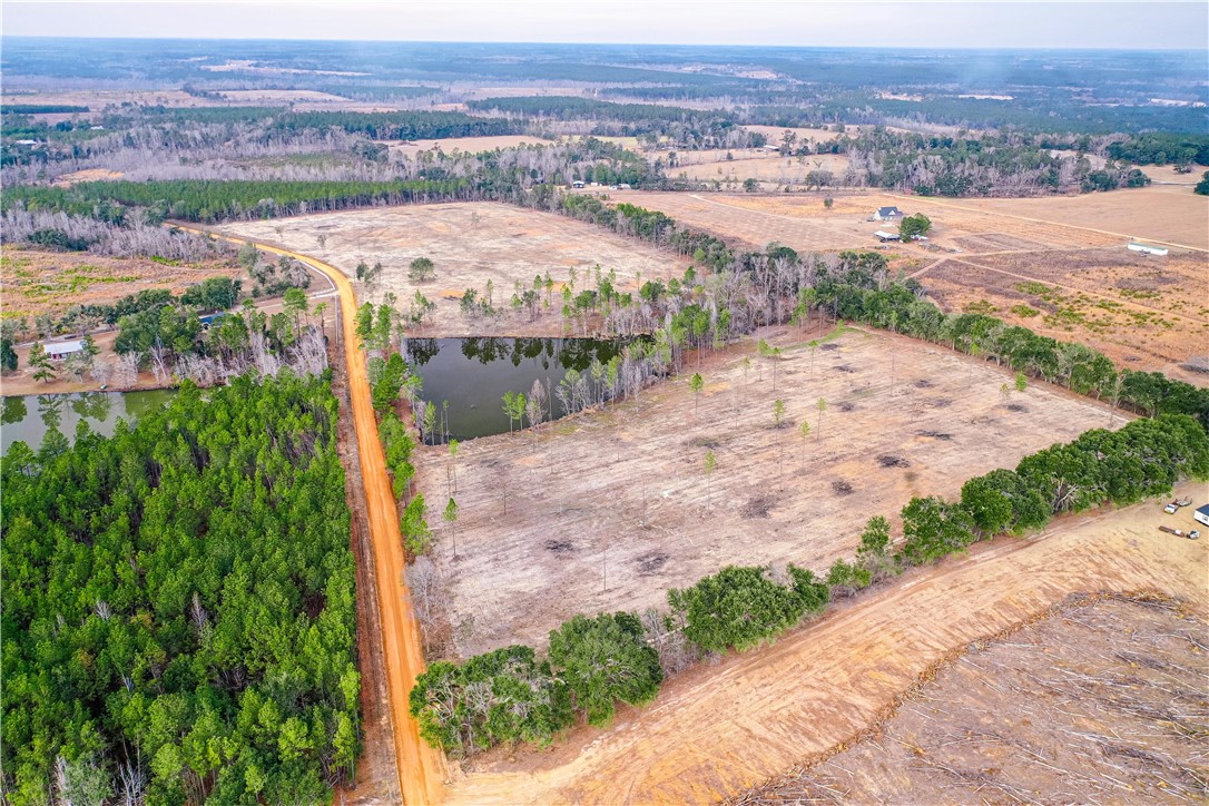 0 Durham Mosley Road Uvalda, GA 30473 - Photo 12 of 15