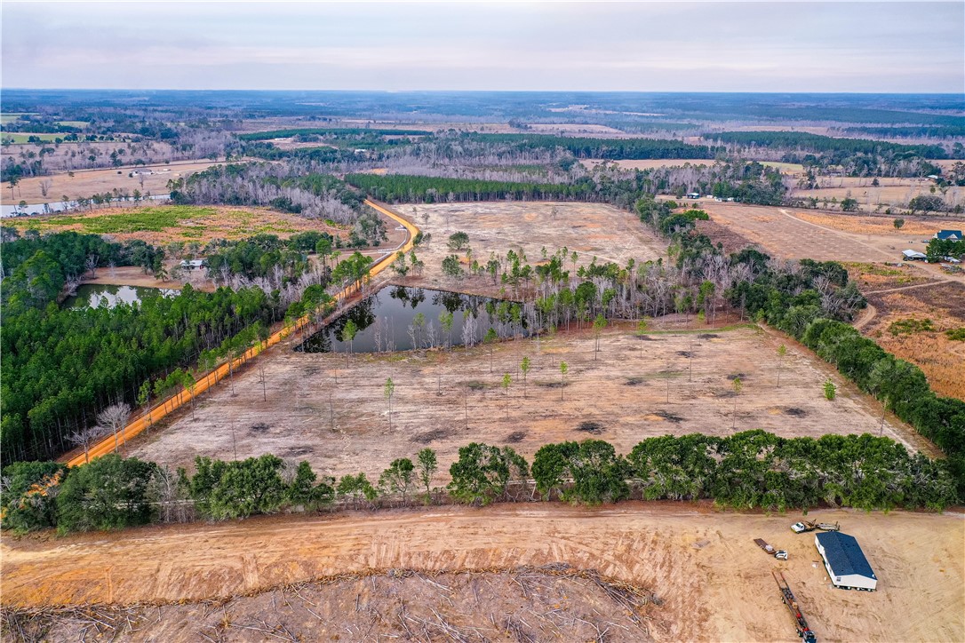 0 Durham Mosley Road Uvalda, GA 30473 - Photo 13 of 15