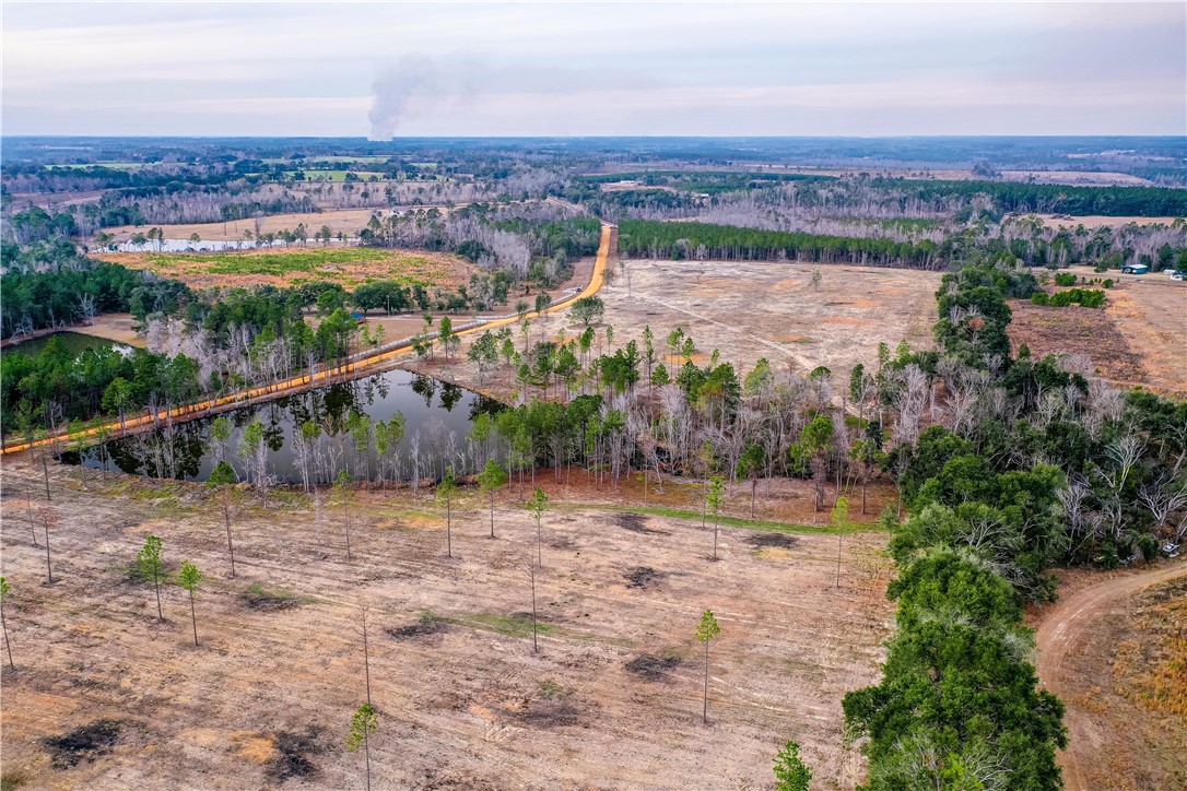 0 Durham Mosley Road Uvalda, GA 30473 - Photo 14 of 15