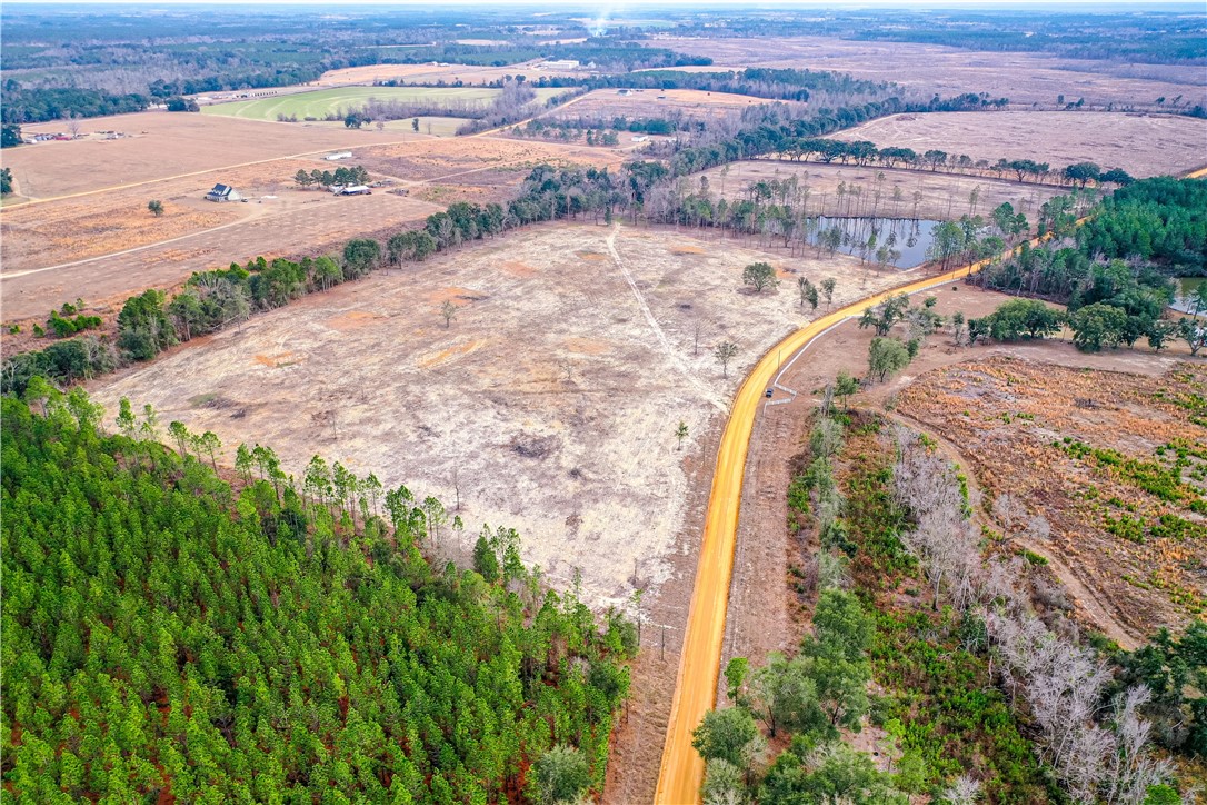 0 Durham Mosley Road Uvalda, GA 30473 - Photo 4 of 15