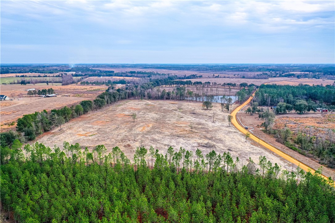 0 Durham Mosley Road Uvalda, GA 30473 - Photo 5 of 15