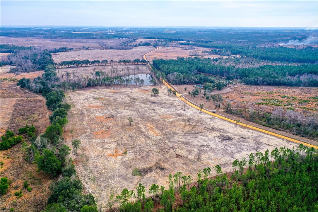 0 Durham Mosley Road Uvalda, GA 30473 - Photo 7 of 15