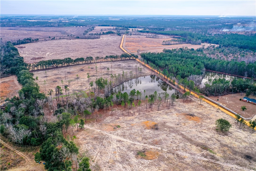 0 Durham Mosley Road Uvalda, GA 30473 - Photo 8 of 15