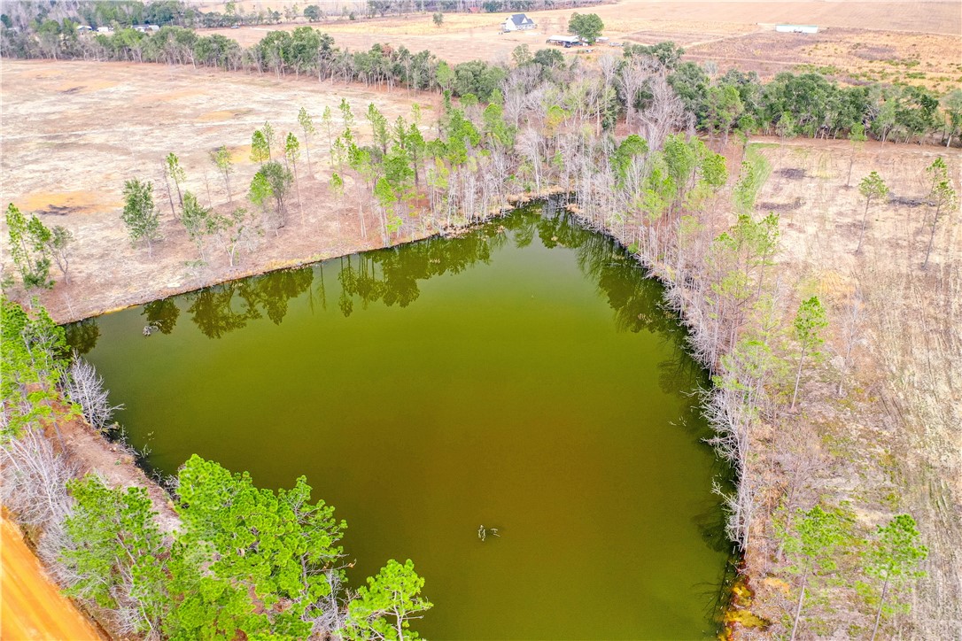 0 Durham Mosley Road Uvalda, GA 30473 - Photo 10 of 15