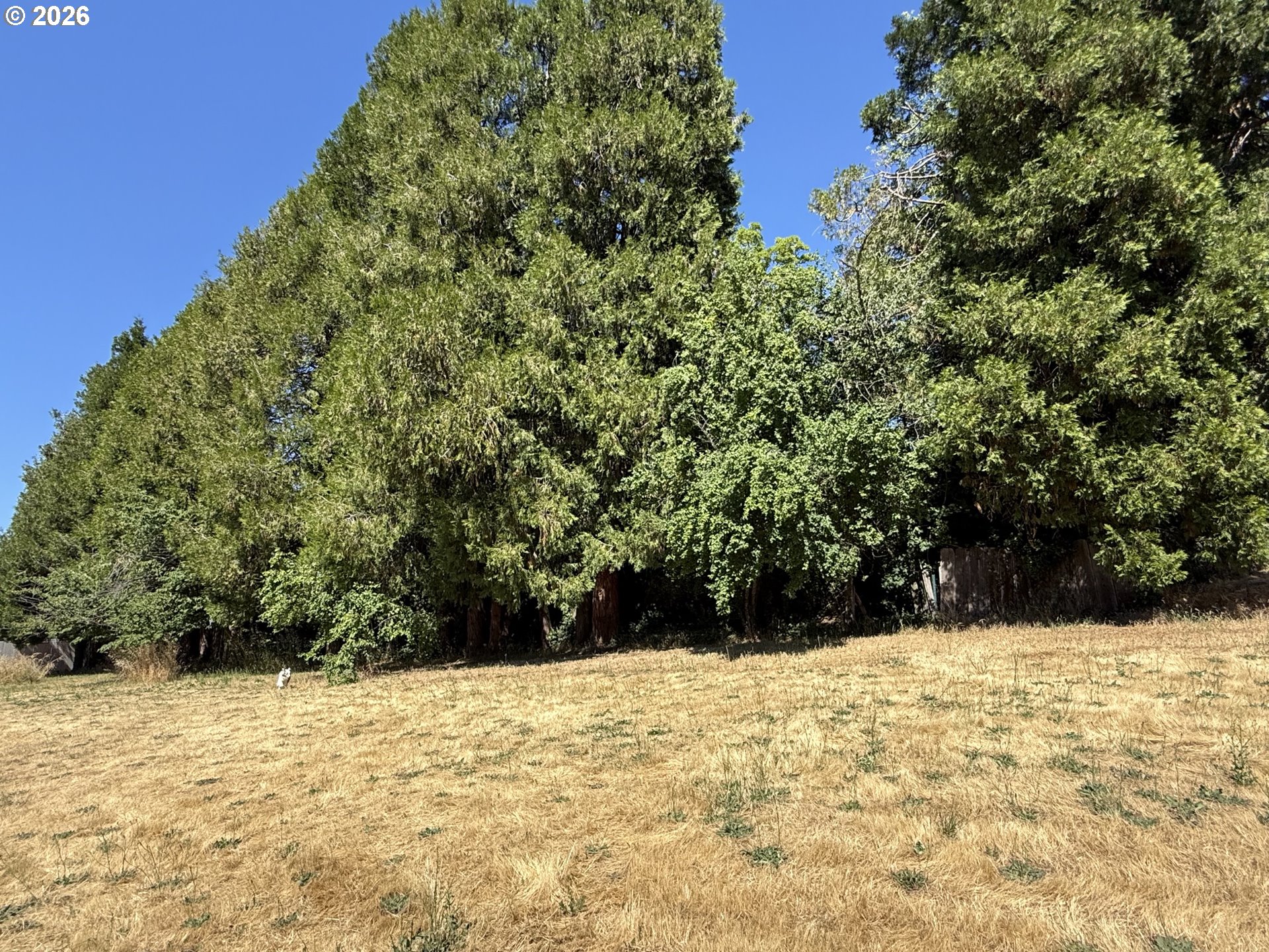 150 Southwest Brantley Drive Winston, OR 97496 - Photo 16 of 16 Backyard