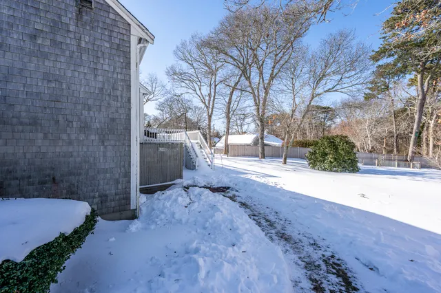 a view of a yard with a tree