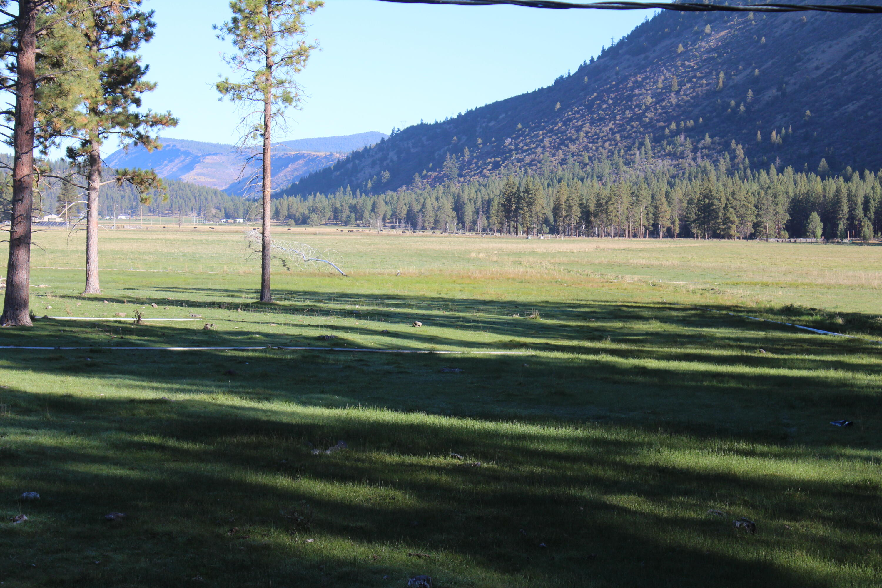 10612 Old Fort Road Klamath Falls, OR 97601 - Photo 13 of 23 80 Acres
