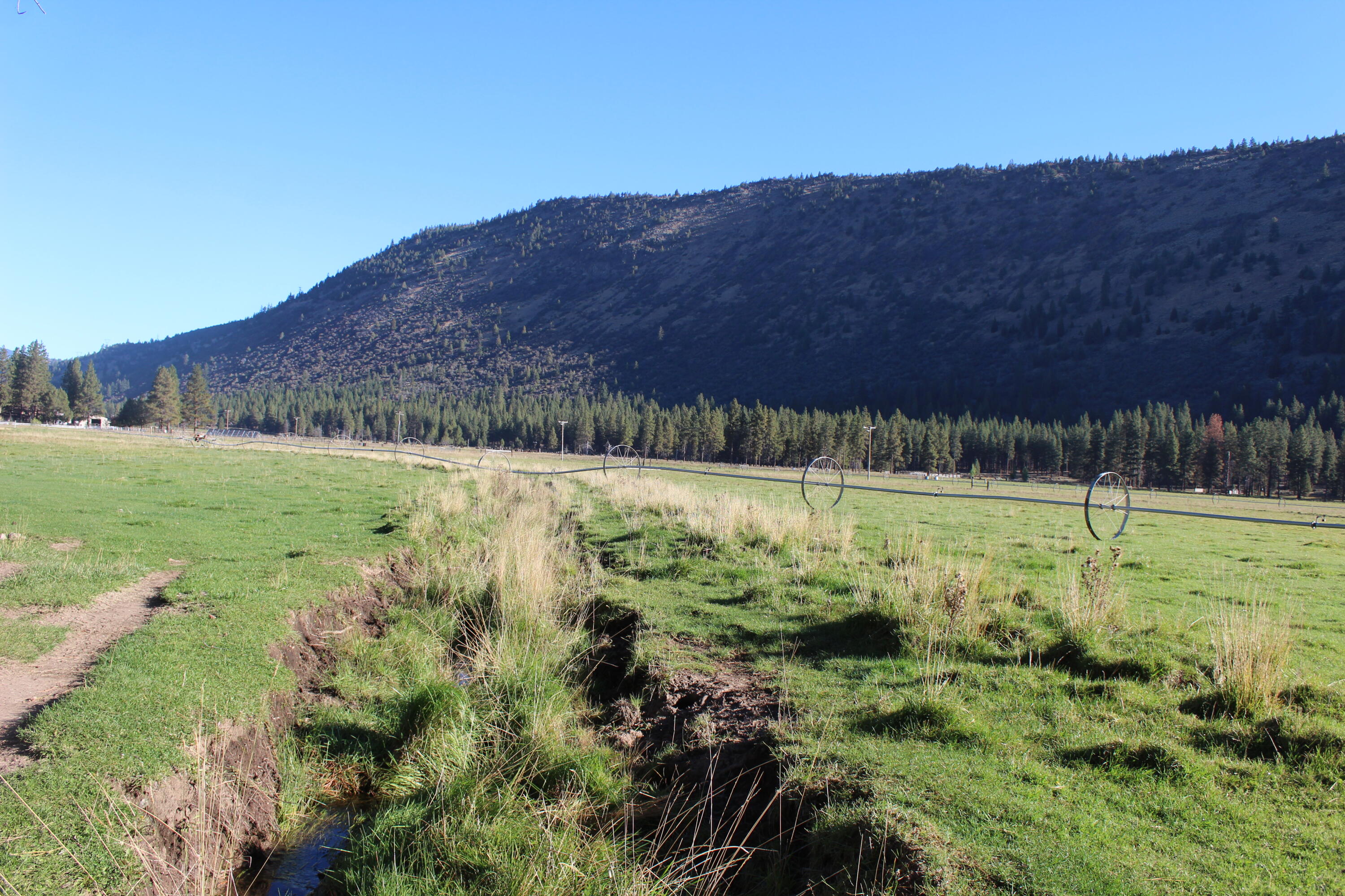 10612 Old Fort Road Klamath Falls, OR 97601 - Photo 14 of 23 80 Acres