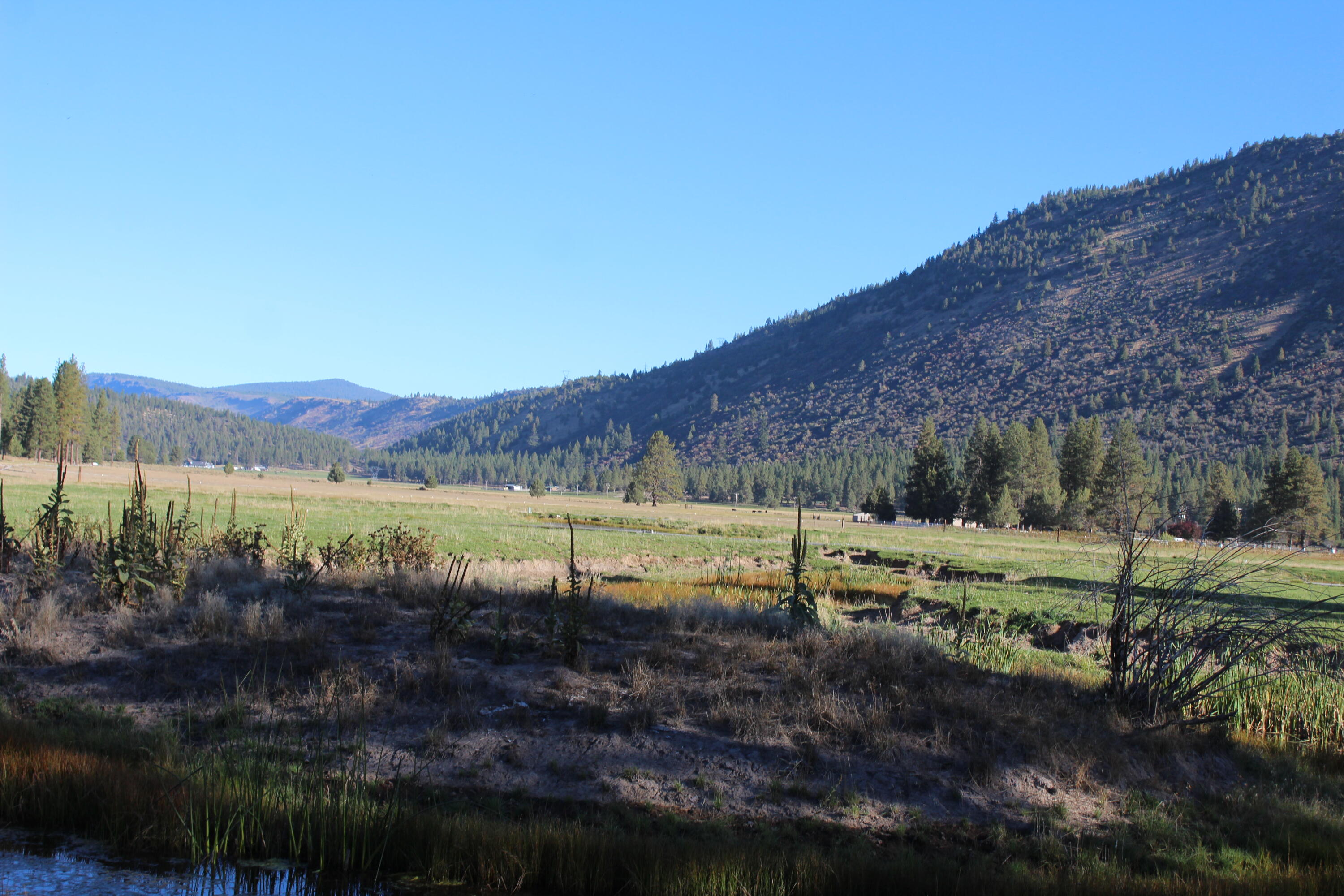 10612 Old Fort Road Klamath Falls, OR 97601 - Photo 16 of 23 80 Acres