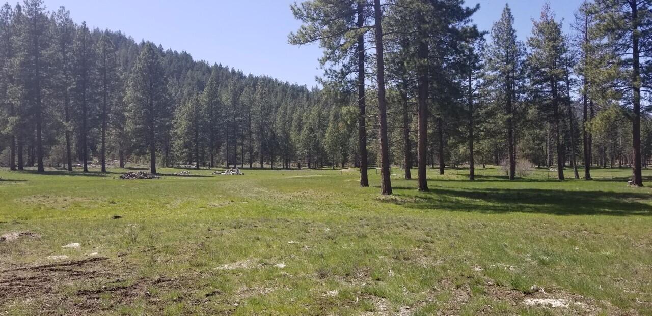 10612 Old Fort Road Klamath Falls, OR 97601 - Photo 5 of 23 80 Acres