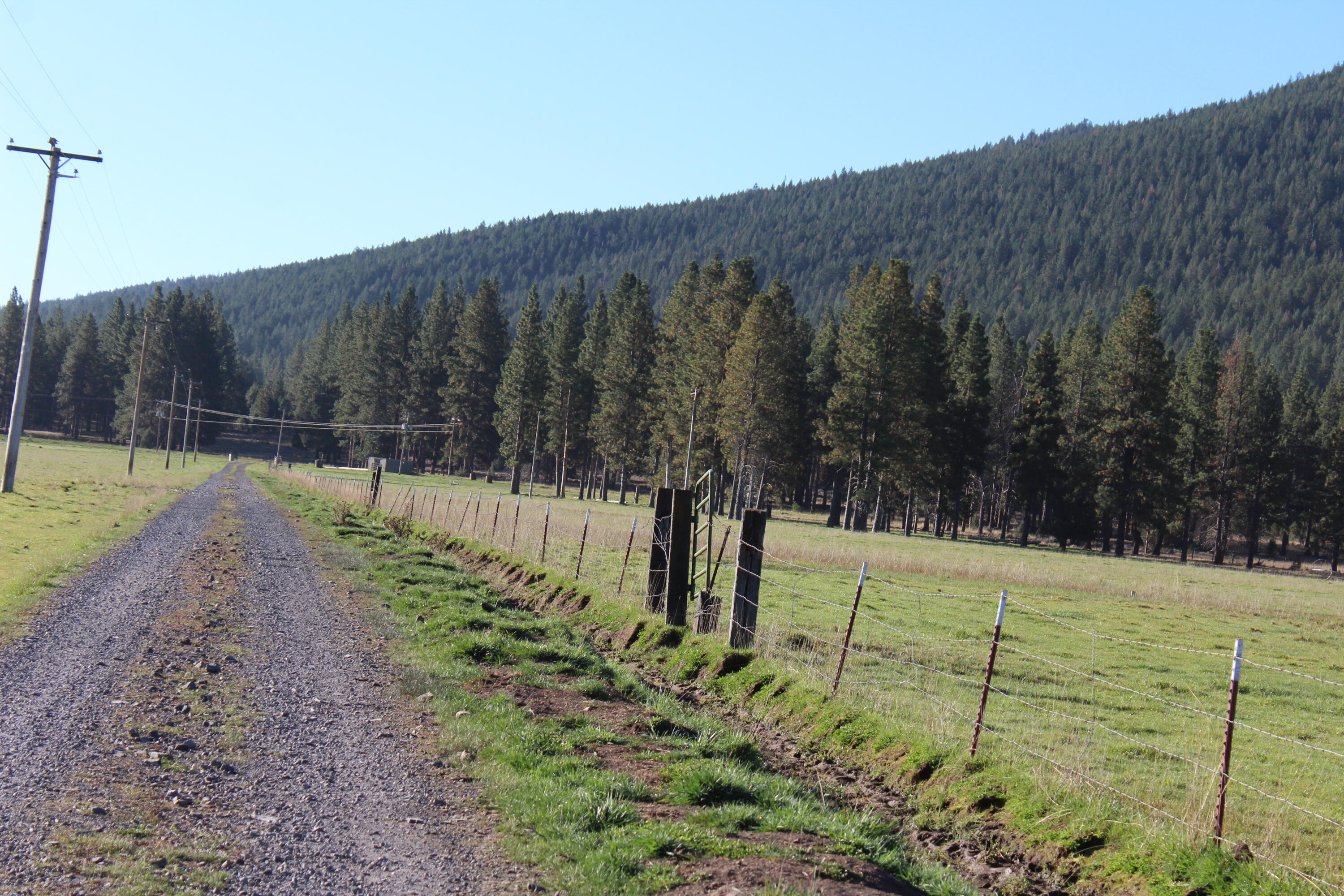 10612 Old Fort Road Klamath Falls, OR 97601 - Photo 8 of 23 80 Acres