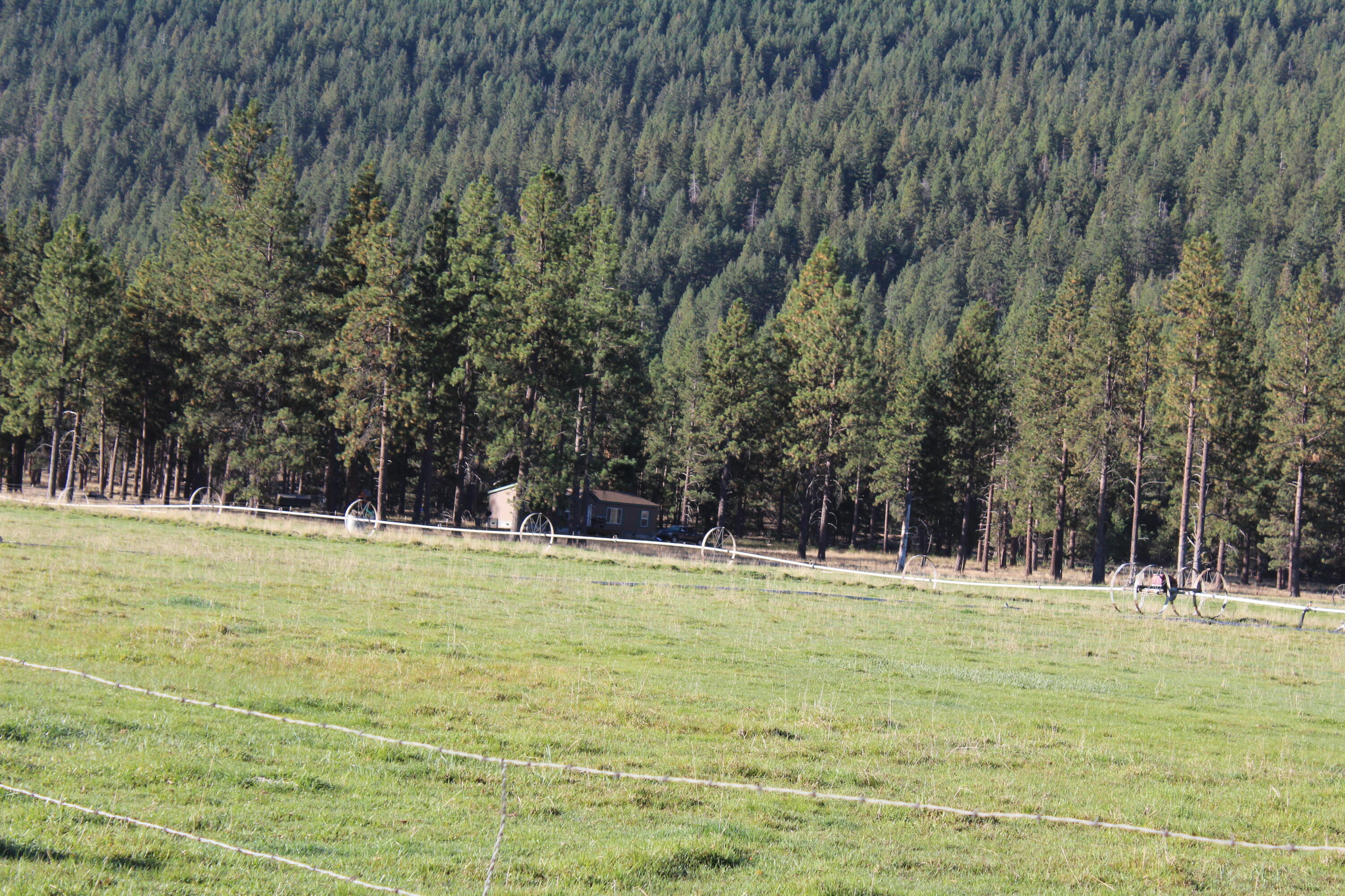 10612 Old Fort Road Klamath Falls, OR 97601 - Photo 9 of 23 80 Acres