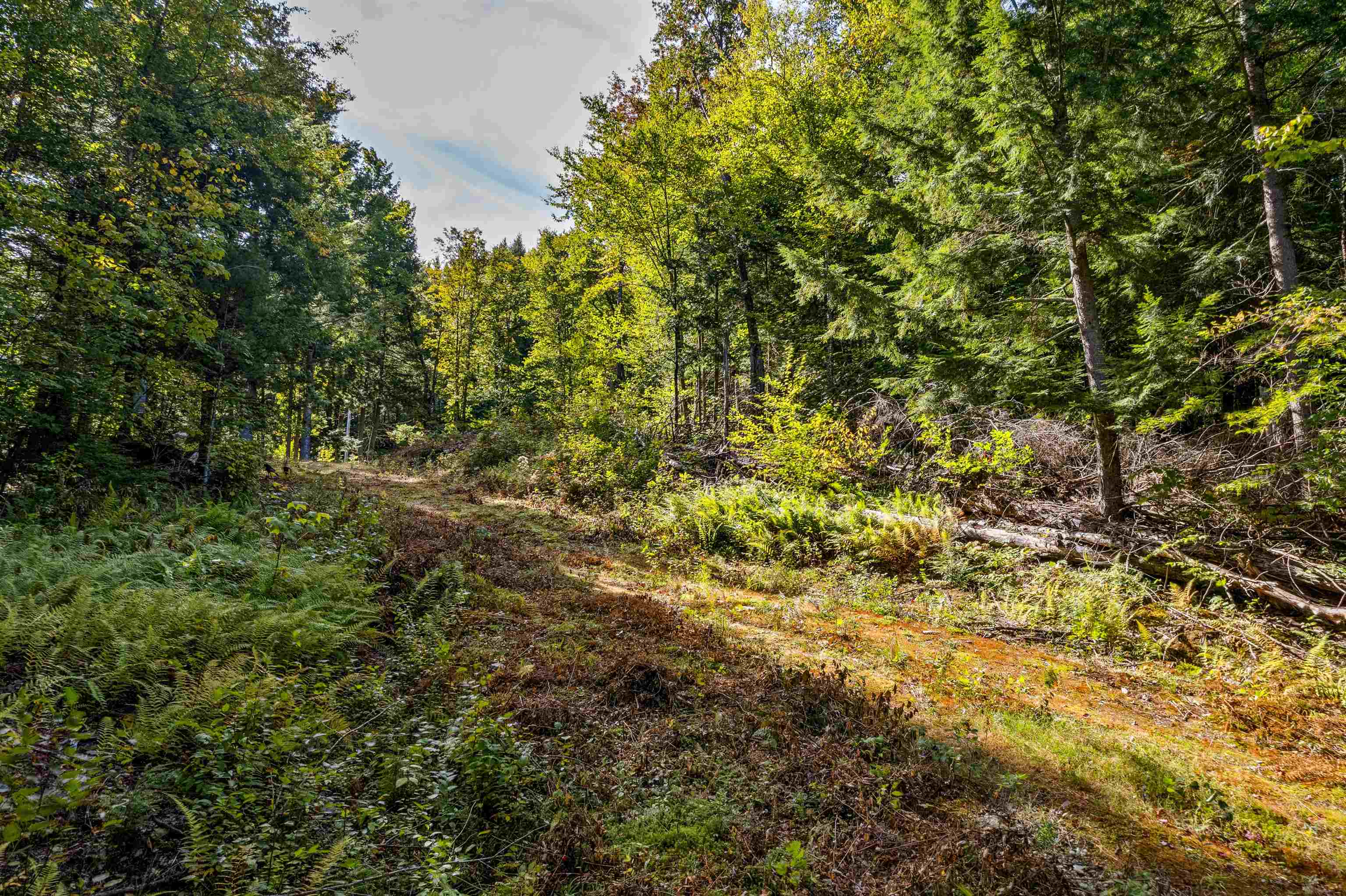 664 Ranney Road Stockbridge, VT 05772 - Photo 7 of 19 Gallery Image 7