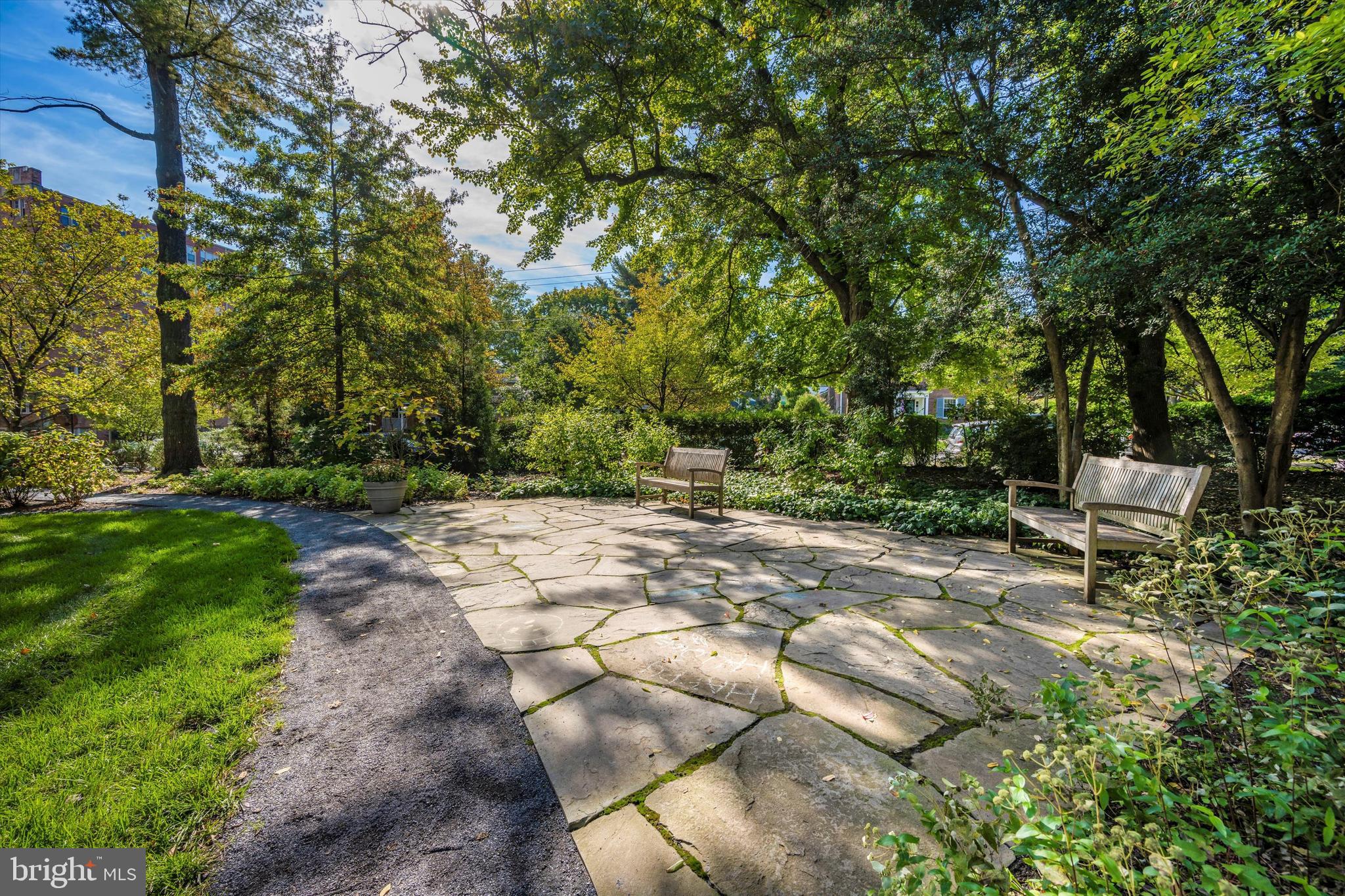4600 Connecticut Avenue Northwest, Unit 810 Washington, DC 20008 - Photo 35 of 44 Park with bench to enjoy the natural surroundings
