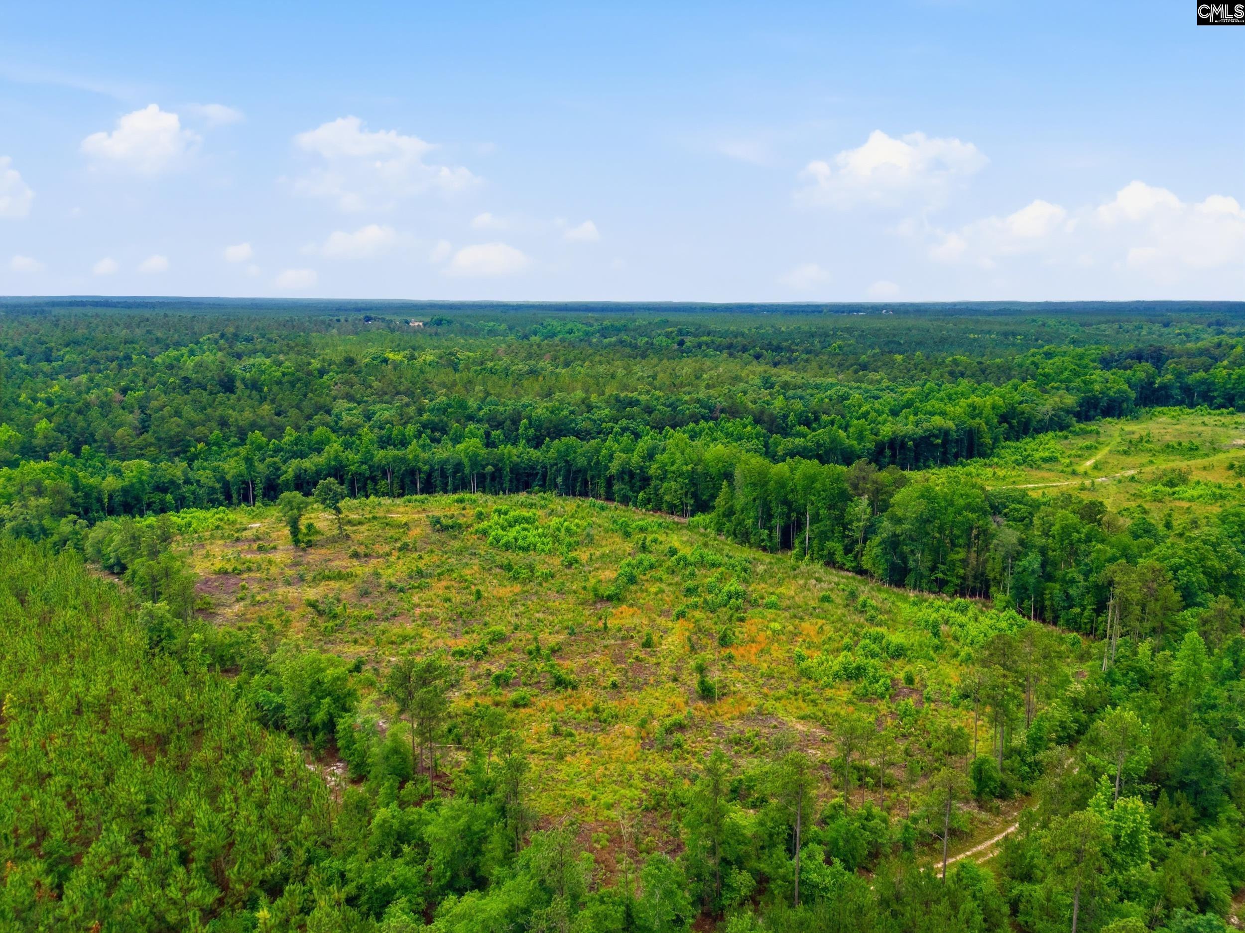 3390 State Rd S-28-496 Kershaw, SC 29067 - Photo 15 of 26