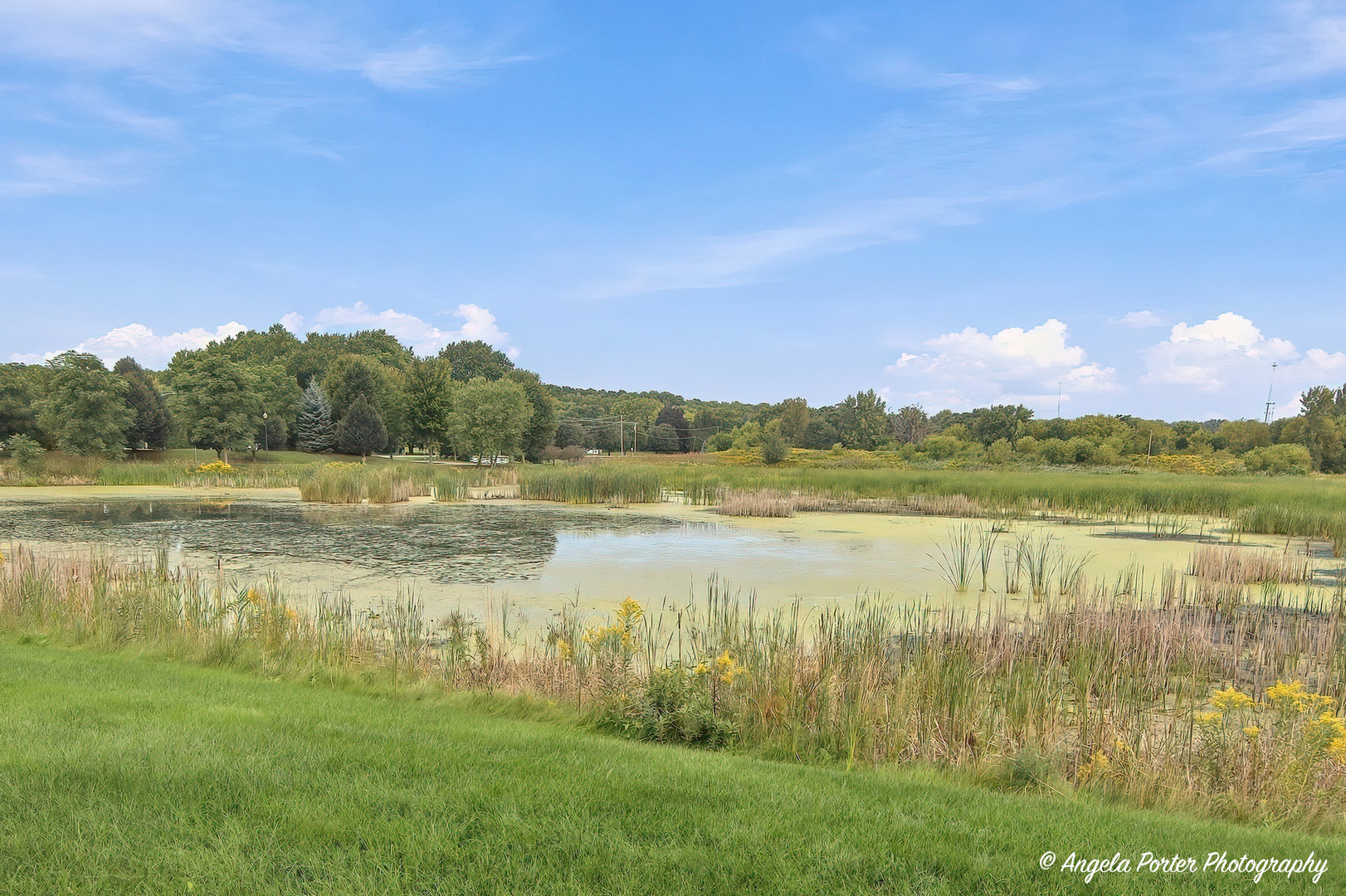 1028 Draper Road McHenry, IL 60050 - Photo 28 of 29 Gallery Image 28
