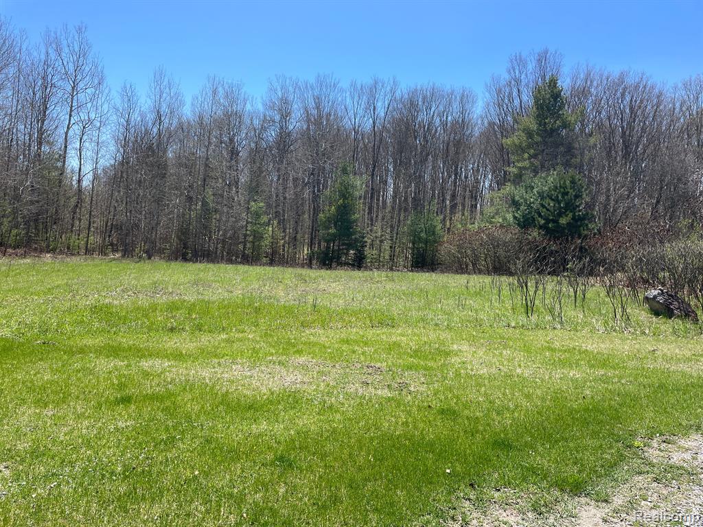 1899 West Kittle Road Mio, MI 48647 - Photo 42 of 61 Gallery Image 42