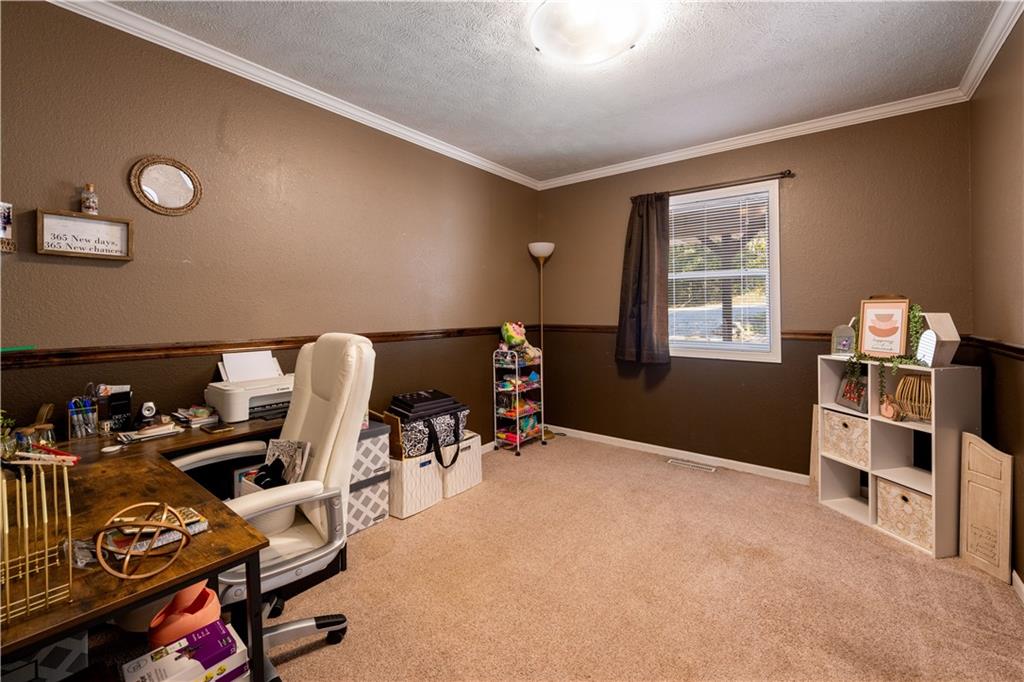 117 Blue Springs Lane Reeds Spring, MO 65737 - Photo 18 of 43