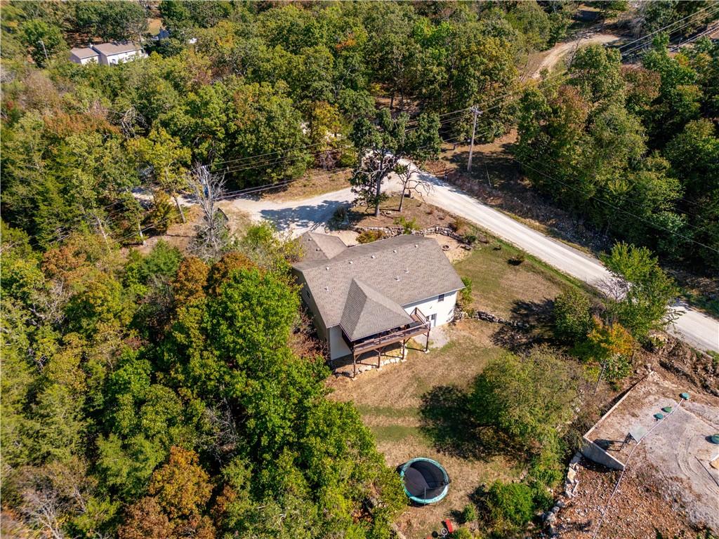 117 Blue Springs Lane Reeds Spring, MO 65737 - Photo 36 of 43