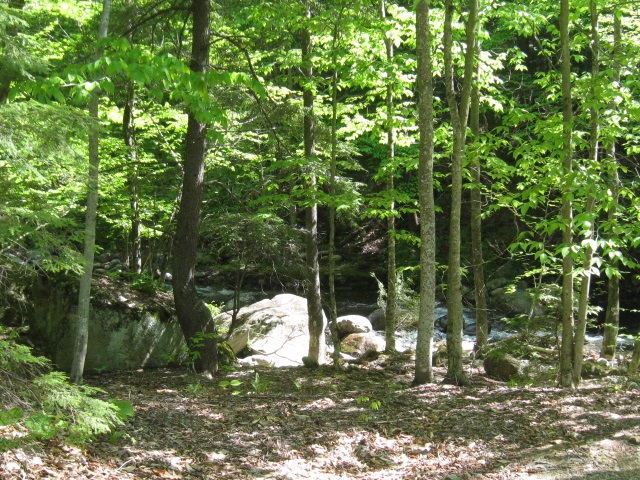 0 Stinson Lake Road Rumney, NH 03266 - Photo 1 of 6