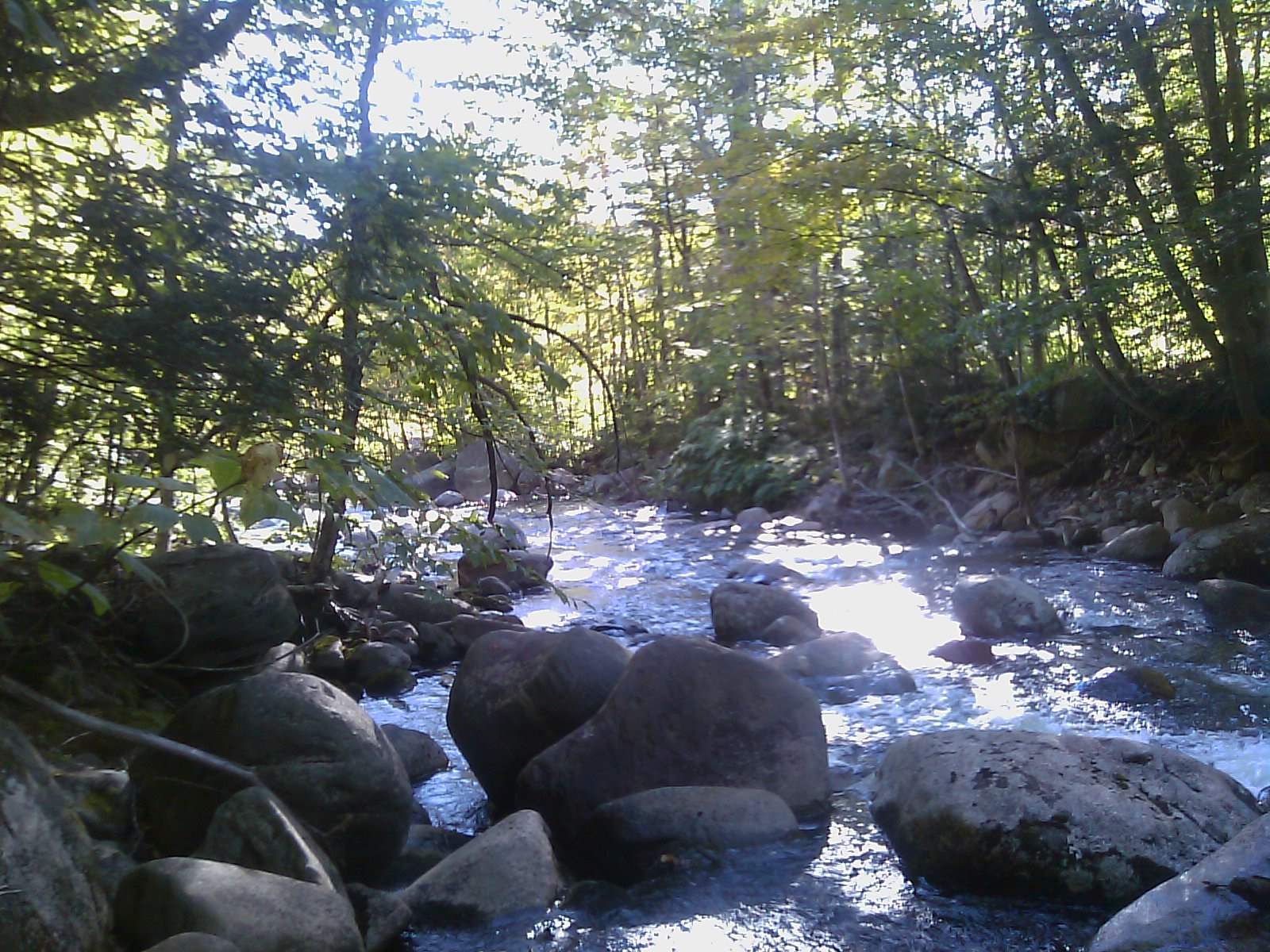 0 Stinson Lake Road Rumney, NH 03266 - Photo 3 of 6