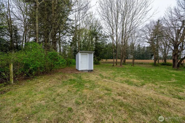 a view of a backyard with a garden and trees