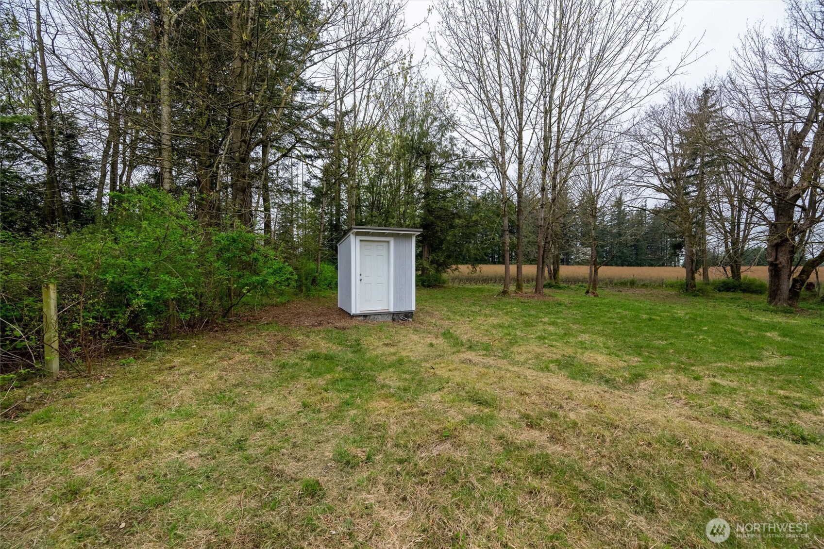 a view of a backyard with a garden and trees