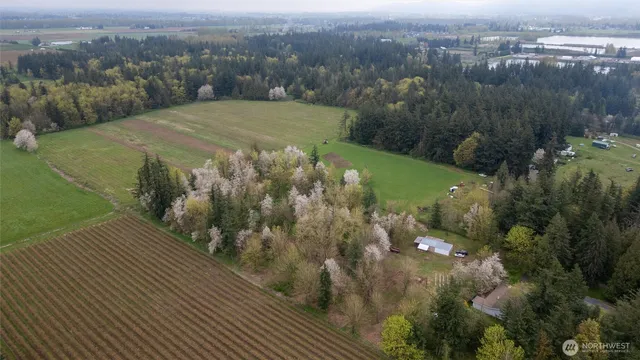 a view of a yard with an outdoor space