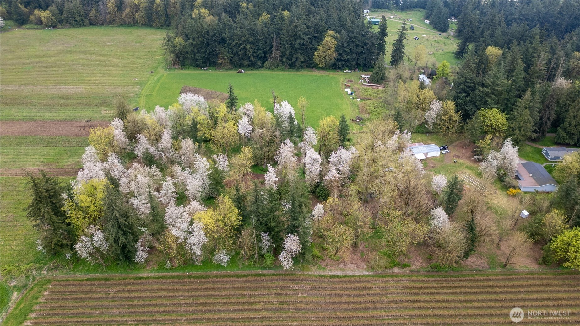 1822 East Pole Road Everson, WA 98247 - Photo 14 of 20 a view of a yard with an outdoor space