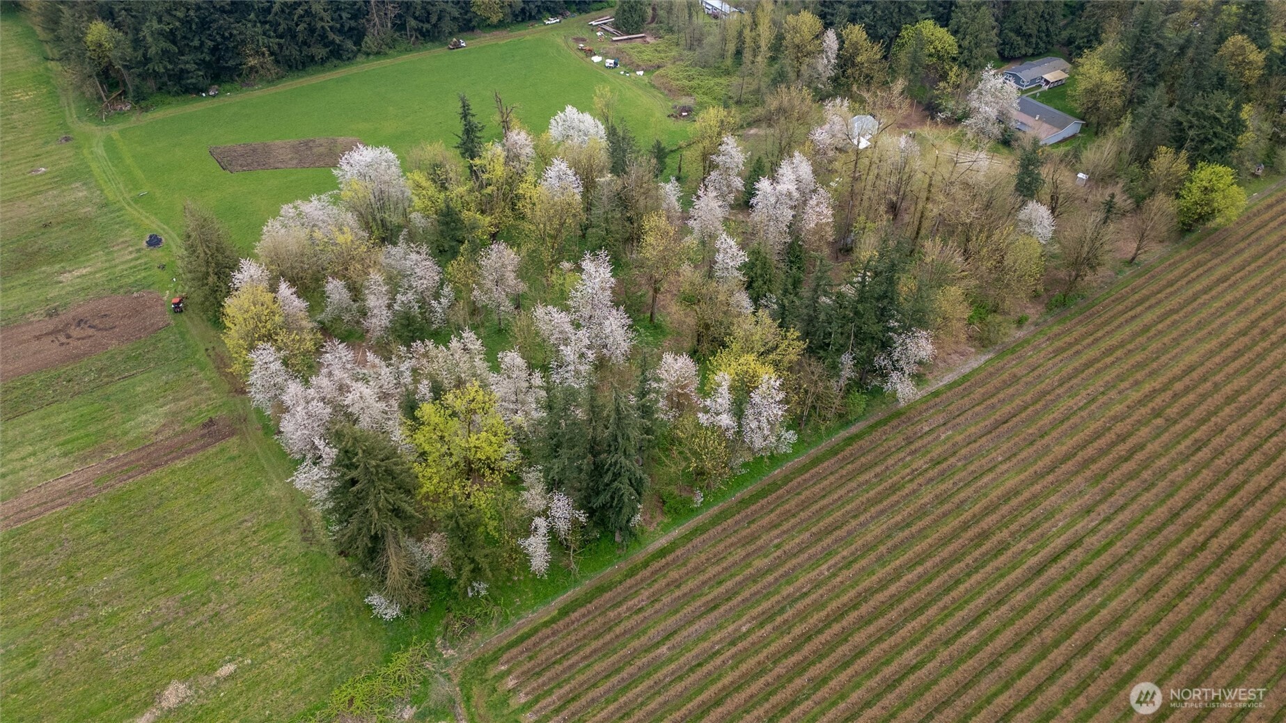 1822 East Pole Road Everson, WA 98247 - Photo 15 of 20 a view of a lake from a balcony