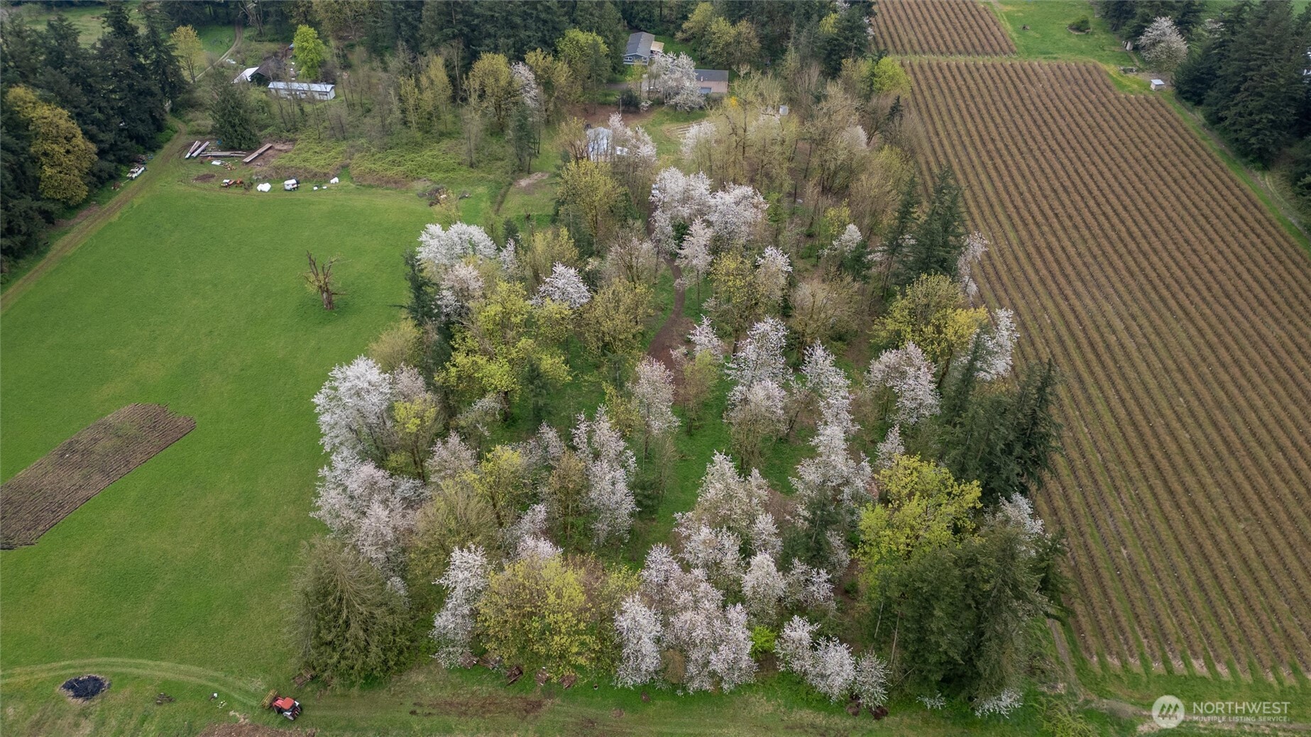 1822 East Pole Road Everson, WA 98247 - Photo 17 of 20 a map view of location