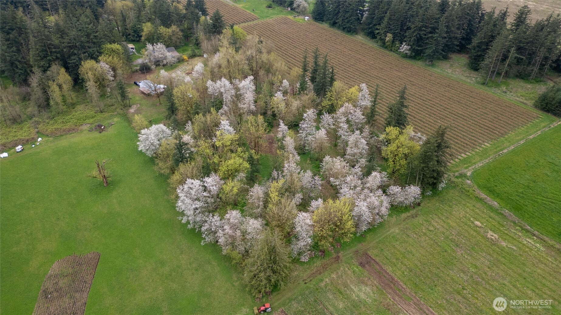 1822 East Pole Road Everson, WA 98247 - Photo 18 of 20 a view of a lake with a yard