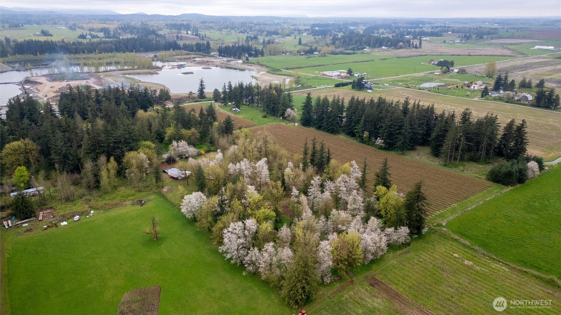 1822 East Pole Road Everson, WA 98247 - Photo 19 of 20 a view of a lake with a mountain in the background