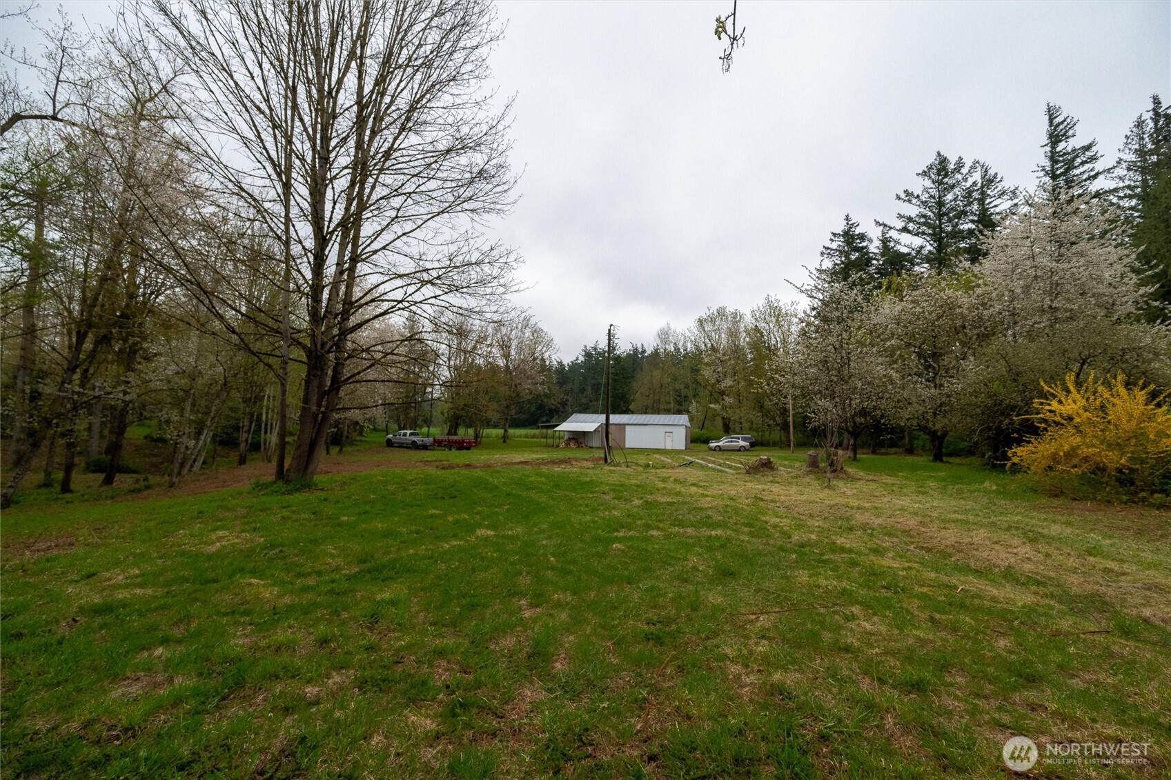 1822 East Pole Road Everson, WA 98247 - Photo 2 of 20 a view of a park with large trees