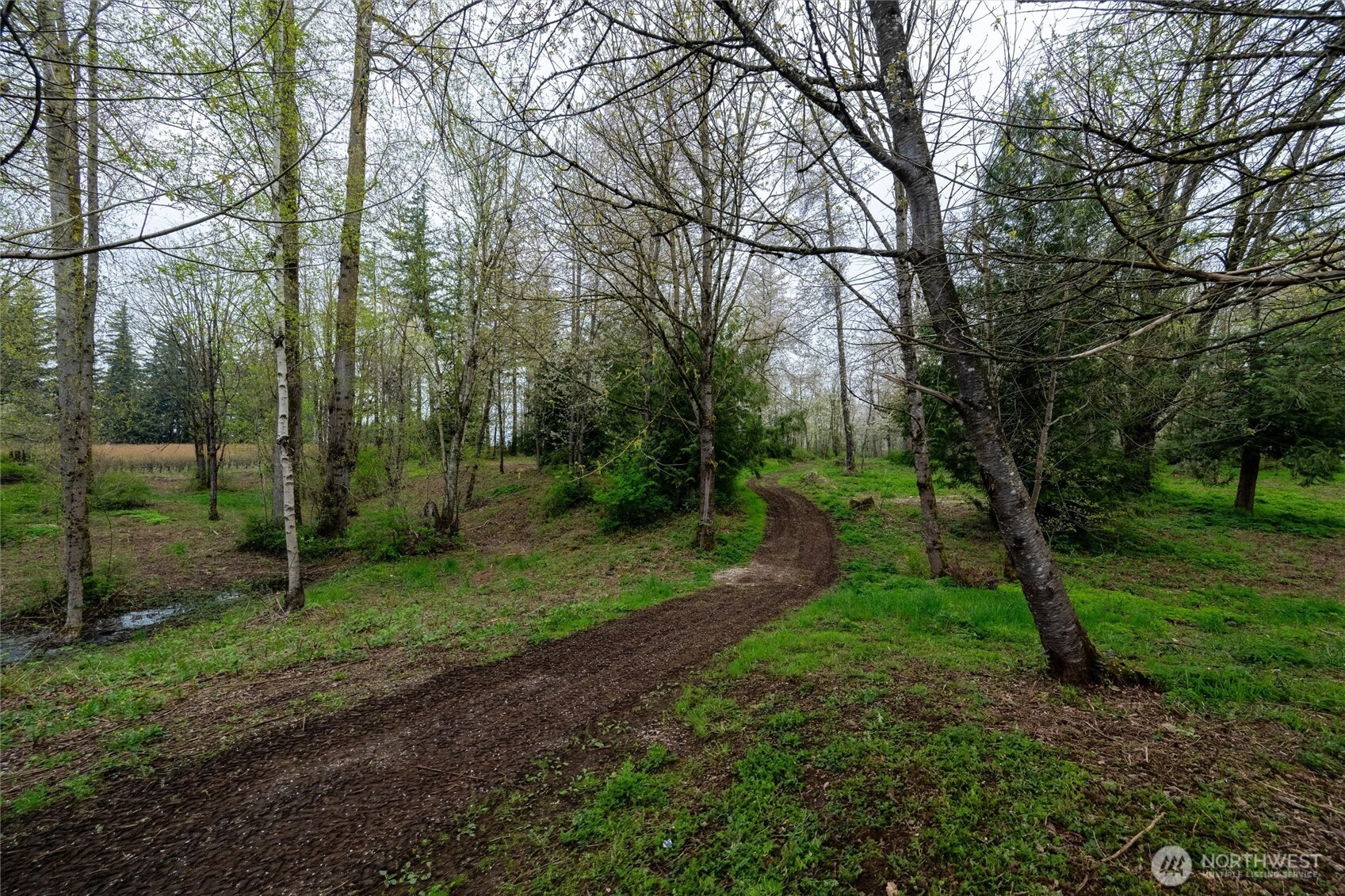 1822 East Pole Road Everson, WA 98247 - Photo 6 of 20 a view of a park with large trees