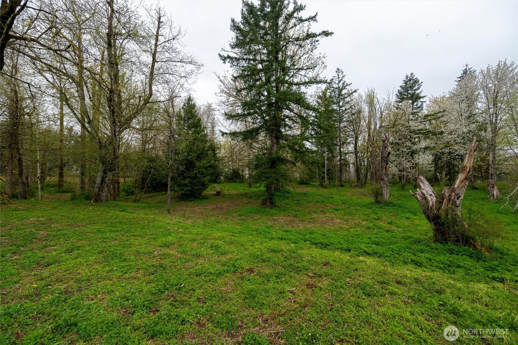 1822 East Pole Road Everson, WA 98247 - Photo 8 of 20 a view of outdoor space with deck and yard