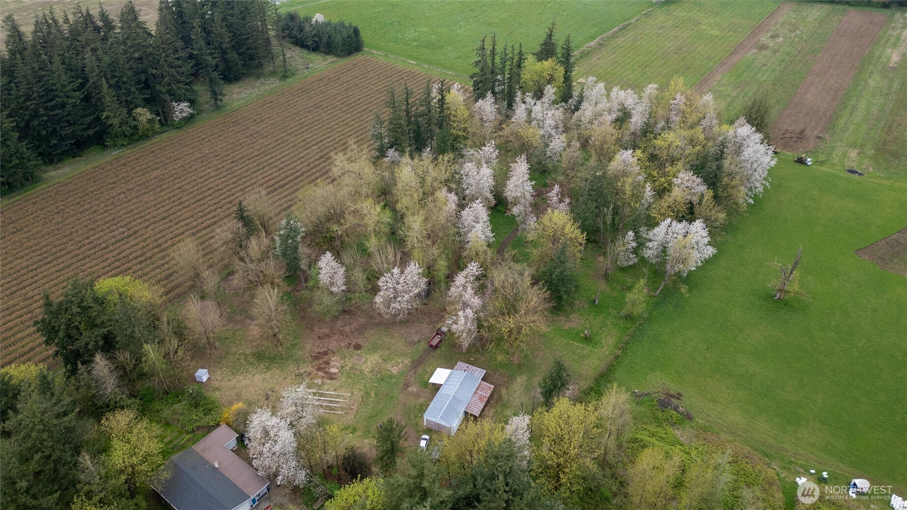1822 East Pole Road Everson, WA 98247 - Photo 9 of 20 a aerial view of a house with a yard