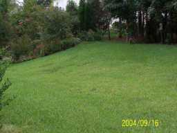 139 Comata Road Mooresville, NC 28117 - Photo 7 of 8 Gallery Image 7