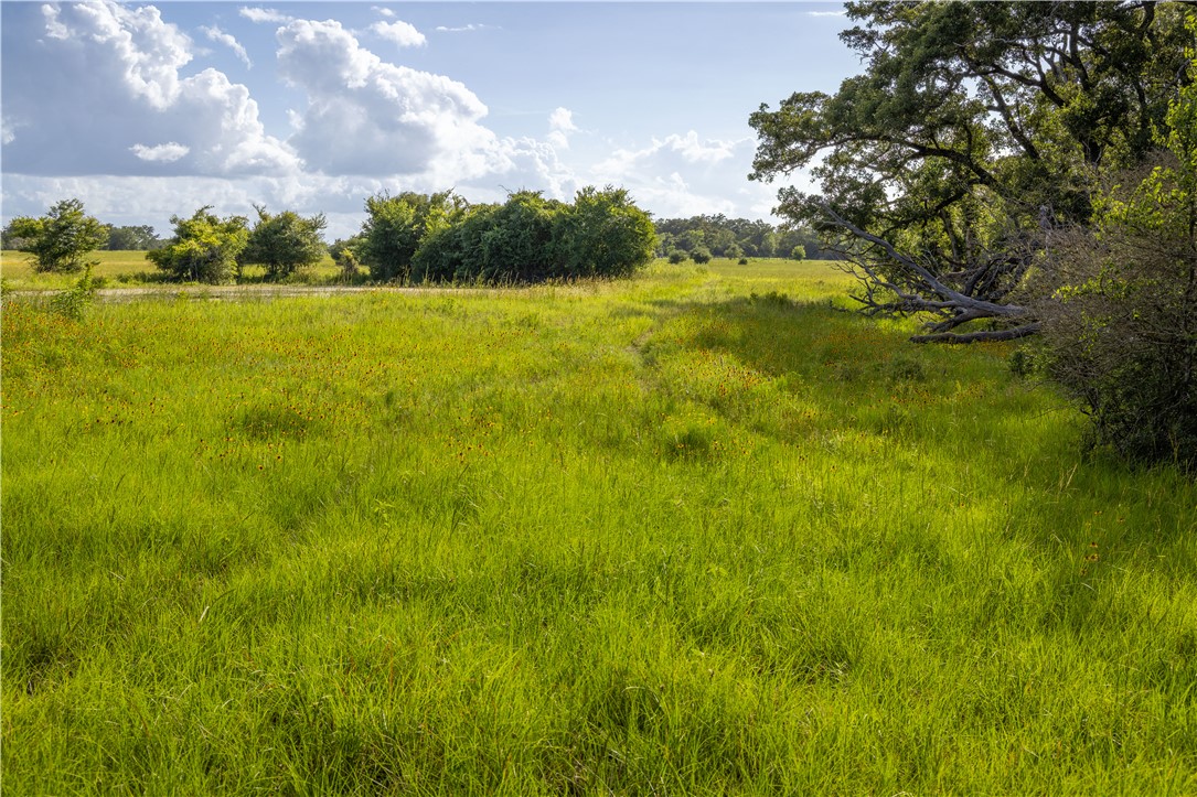 10102 Ferrill Creek Road Bryan, TX 77808 - Photo 24 of 29